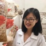 Jie-Chen