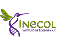 INSTITUTO DE ECOLOGIA A.C. (INECOL)