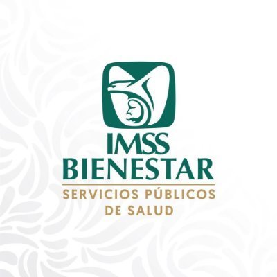 SERVICIOS DE SALUD DEL INSTITUTO MEXICANO DEL SEGURO SOCIAL PARA EL BIENESTAR (IMSS-BIENESTAR)