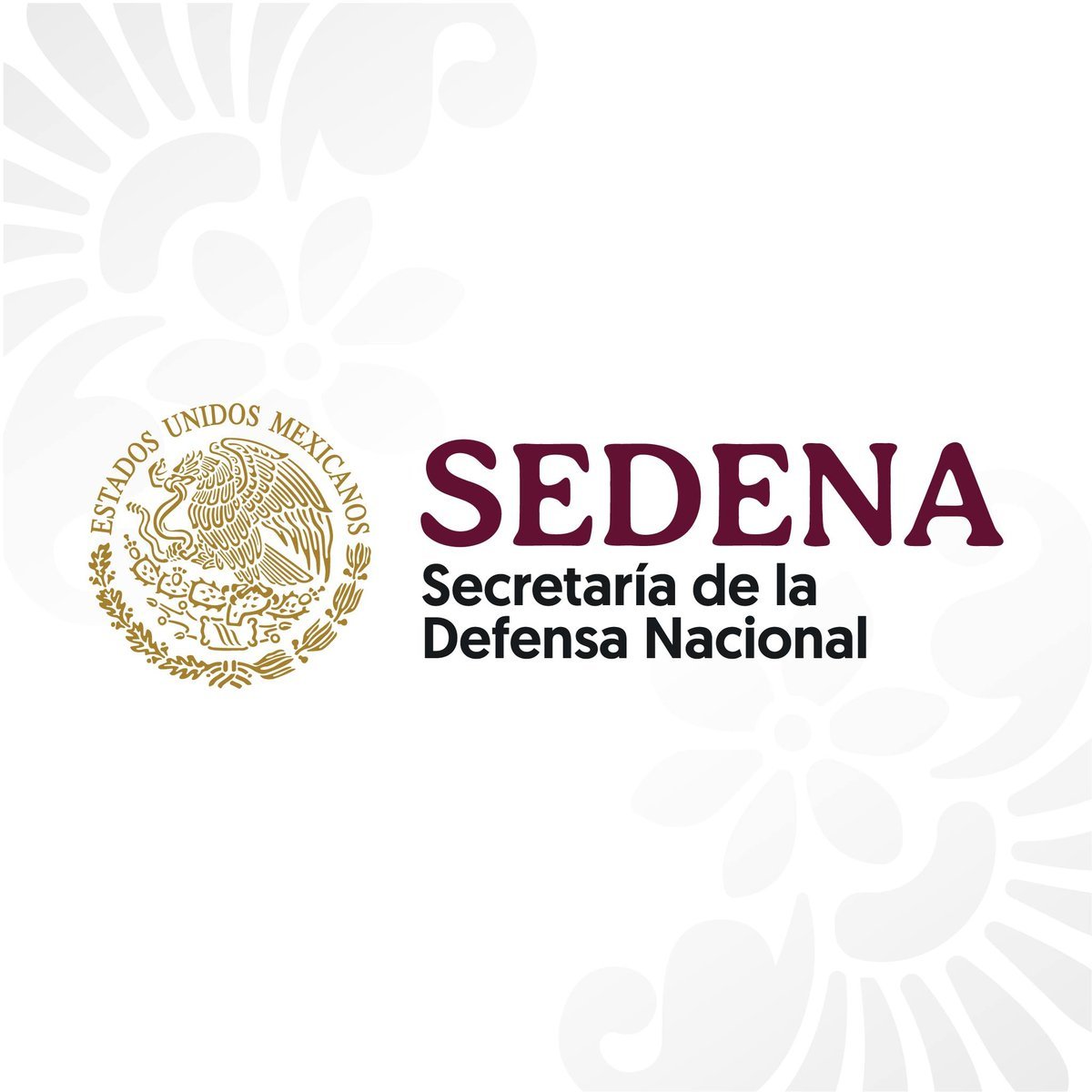 SECRETARIA DE LA DEFENSA NACIONAL