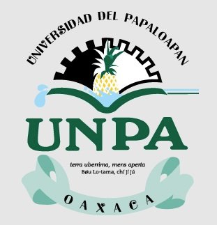 UNIVERSIDAD DEL PAPALOAPAN