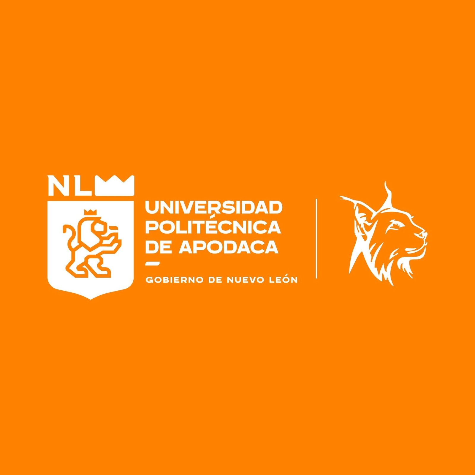 UNIVERSIDAD POLITECNICA DE APODACA