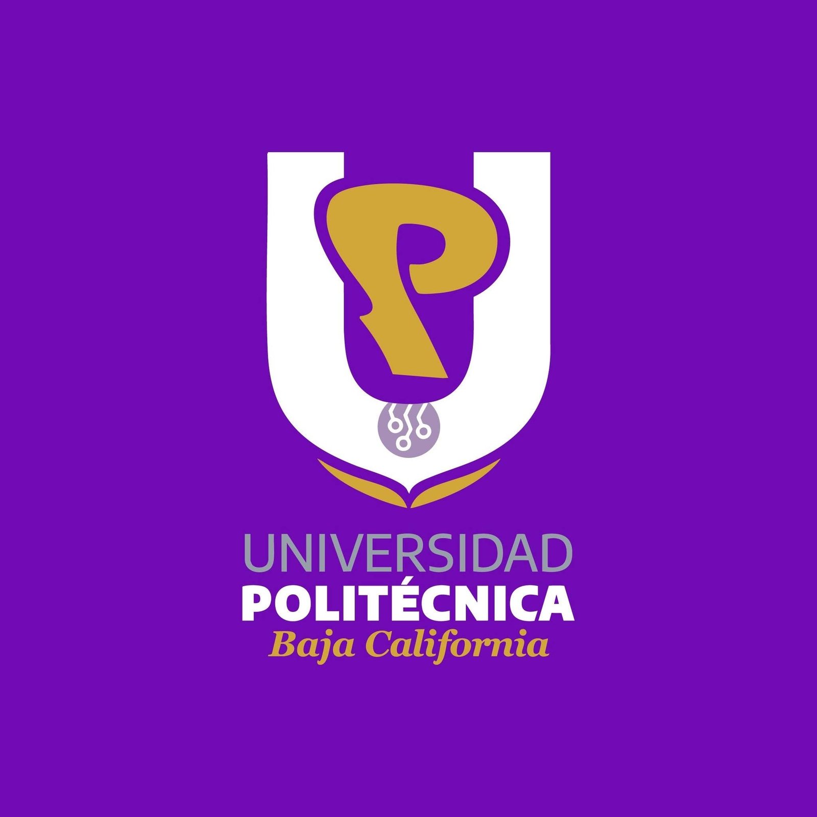 UNIVERSIDAD POLITECNICA DE BAJA CALIFORNIA