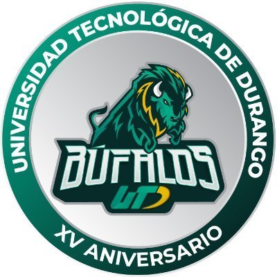 UNIVERSIDAD TECNOLOGICA DE DURANGO