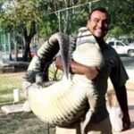 LOPEZ LUNA, MARCO ANTONIO