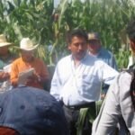 MENDOZA ELOS, MARIANO