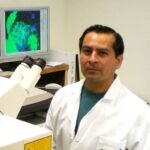 HERNANDEZ MARTINEZ, SALVADOR