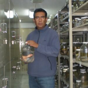 GONZALEZ DIAZ, ALFONSO ANGEL