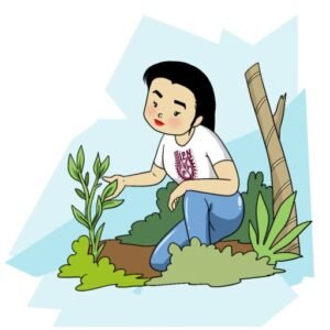 TREJO TAPIA, GABRIELA