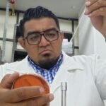 HERNANDEZ GARCIA, JUAN ALFREDO