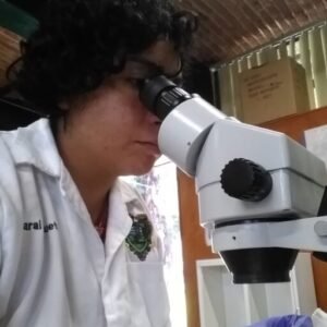 CUETO MEDINA, SARAI MONSERRAT