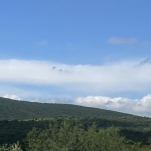 ROMERO SANCHEZ, MAYLU GUADALUPE