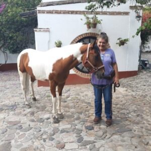 ARTEAGA CASTAÑEDA, MARIA DE LOURDES